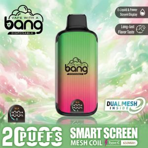 Bang 20000 Puffs