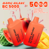 Bang BC 5000 Puffs 06
