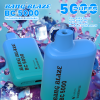 Bang BC 5000 Puffs 07