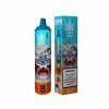 Bang Beach 22000 Puffs Peach Mango Bang Beach 22000 Puffs Peach Mango