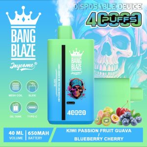 Bang Blaze 40000 Puffs 08