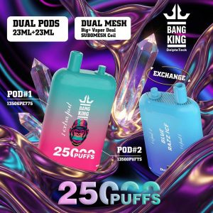 Bang King 25000 Puffs Bang King 25000 Puffs