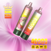 Bang King 40000 Puffs 05 Bang King 40000 Puffs 05