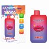Bang King Switch Duo 35000 Puffs 09 Bang King Switch Duo 35000 Puffs 09