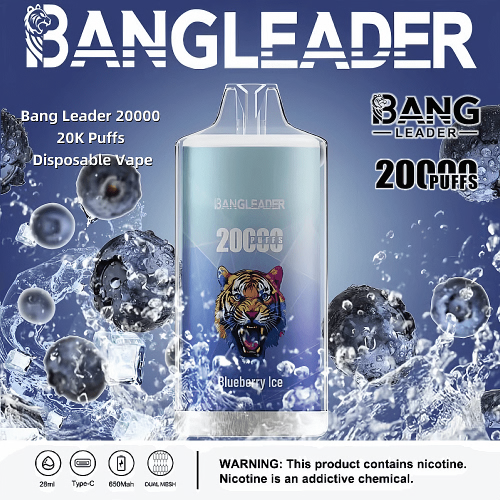 Bang Leader 20000 Puffs 01