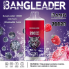 Bang Leader 20000 Puffs 03