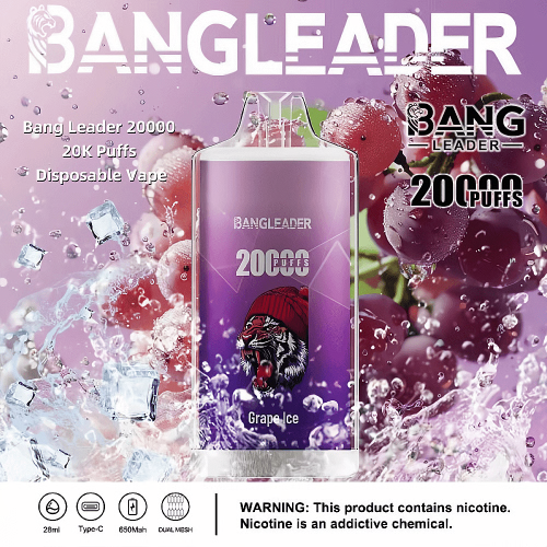 Bang Leader 20000 Puffs 04