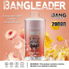 Bang Leader 20000 Puffs 05