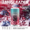 Bang Leader 20000 Puffs 06