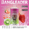 Bang Leader 20000 Puffs 09