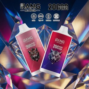 Bang Leader 20000 Puffs