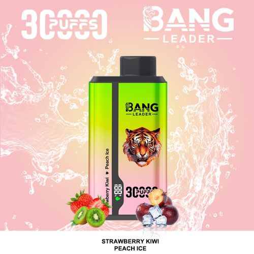 Bang Leader 30k 02