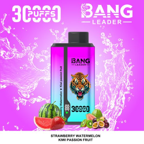 Bang Leader 30k 03