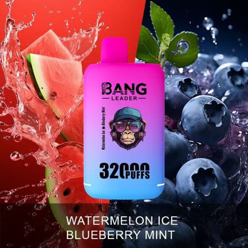Bang Leader 32000 Puffs 04