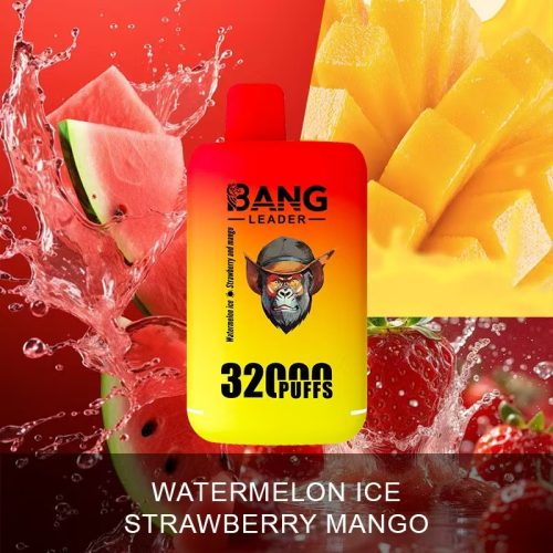 Bang Leader 32000 Puffs 06