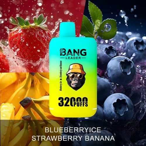 Bang Leader 32000 Puffs 08