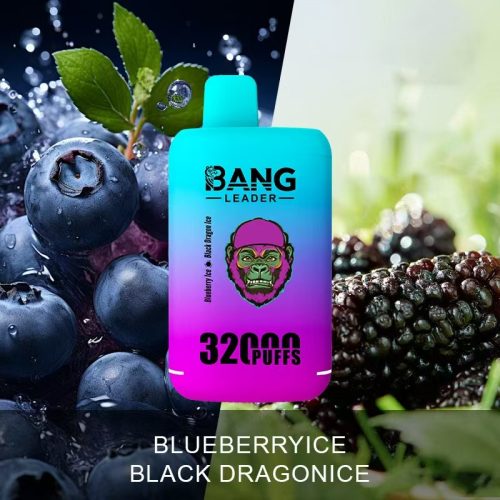 Bang Leader 32000 Puffs 09