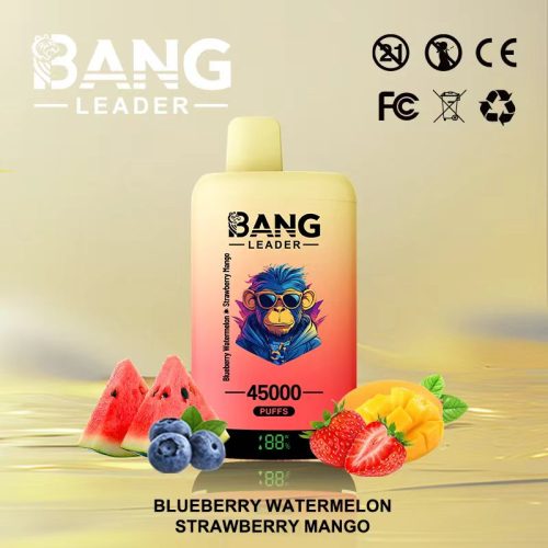 Bang Leader 45000 Puffs-Blueberry Watermelon & Strawberry Mango-Disposable Vape
