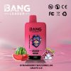 Bang Leader 45000 Puffs-Strawberry Watermelon & Grape Ice-Disposable Vape