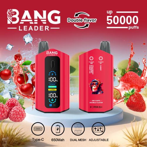 Bang Leader 50000 Puffs 01