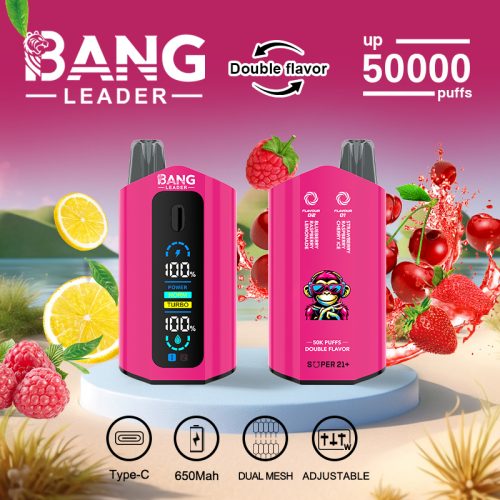 Bang Leader 50000 Puffs 09