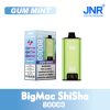 Gum Mint JNR Big Mac Shisha 80000 Puffs