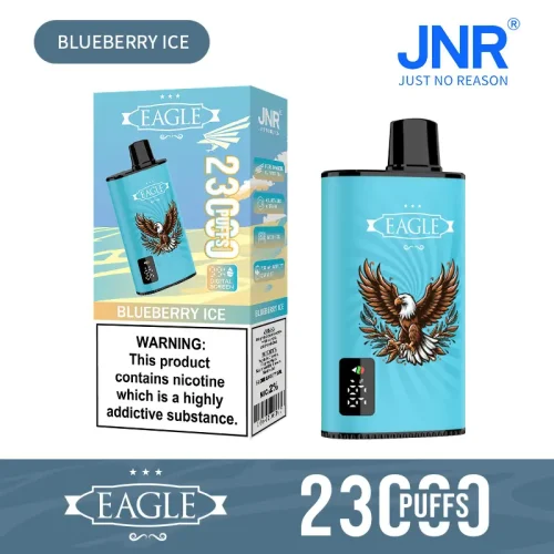 JNR Eagle 23000 Puffs-blueberry-ice