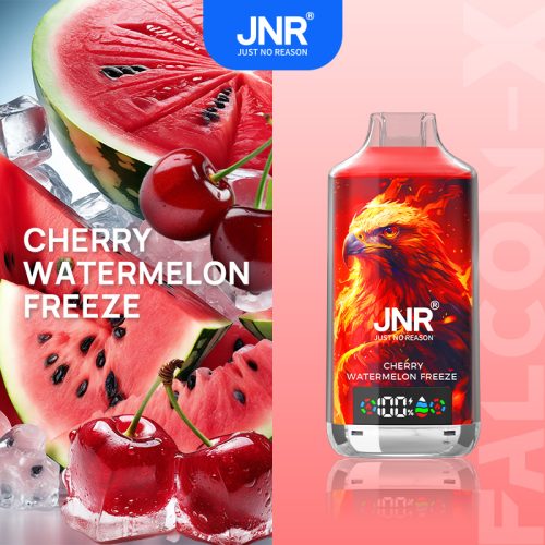 JNR Falcon-X 18000 Puffs Cherry Watermelon-Freeze