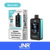 JNR Media Max 40000 Puffs-Miami Mint-Disposable Vape