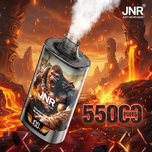 JNR RageGorilla 55000 Puffs