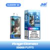 JNR RageGorilla 55000 Puffs Blueberry Ice