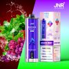 JNR Shisha Max 22000 Puffs Grape Mint