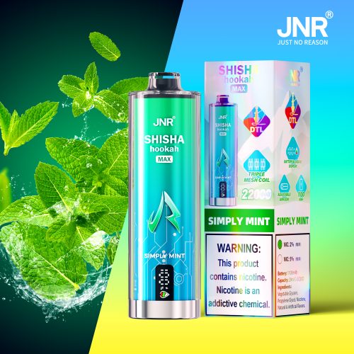 JNR Shisha Max 22000 Puffs Simply Mint