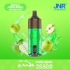 New-Double-Apple JNR Panda 25500 Puffs New-Double-Apple JNR Panda 25500 Puffs