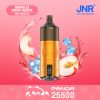 New-Peach-Ice JNR Panda 25500 Puffs New-Peach-Ice JNR Panda 25500 Puffs