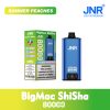 Summer Peaches JNR Big Mac Shisha 80000 Puffs