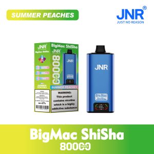 Summer Peaches JNR Big Mac Shisha 80000 Puffs
