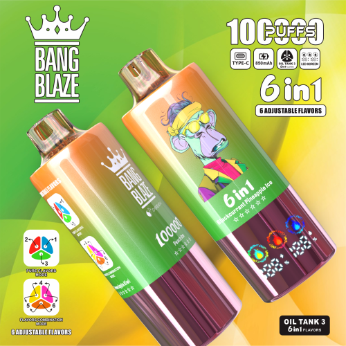 Bang Blaze 6 in 1 100000 Puffs 08