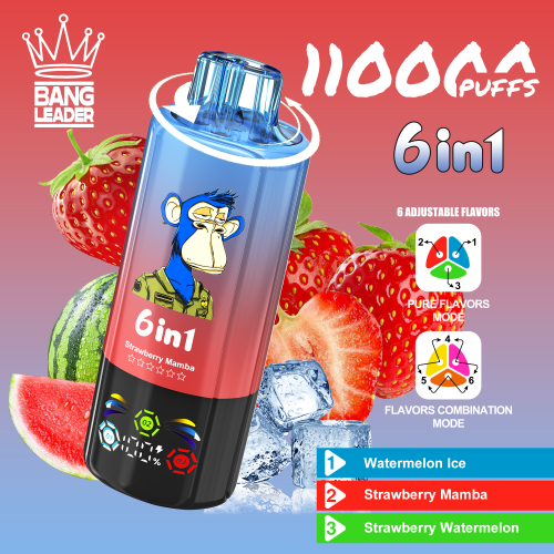 Bang Leader 110000 Puffs 01