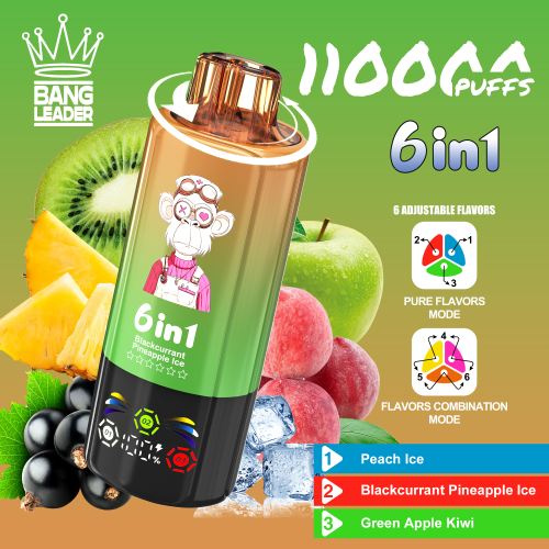 Bang Leader 110000 Puffs 04