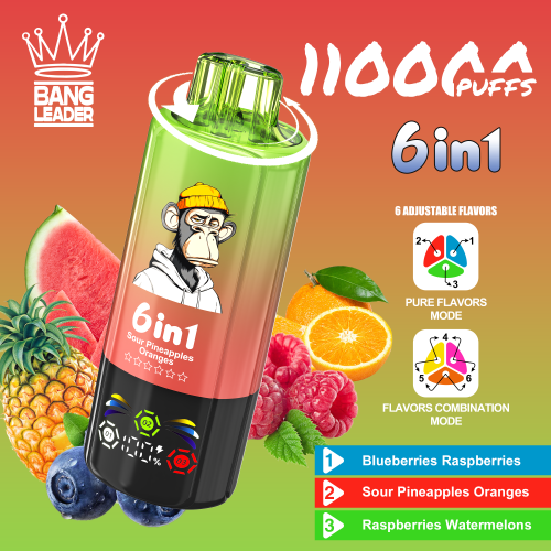 Bang Leader 110000 Puffs 05