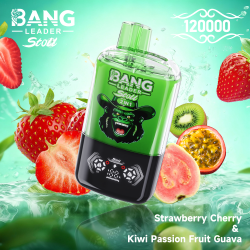 Bang Leader 120000 Puffs 02