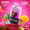 Bang Leader 120000 Puffs 05