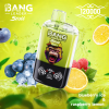 Bang Leader 120000 Puffs 06