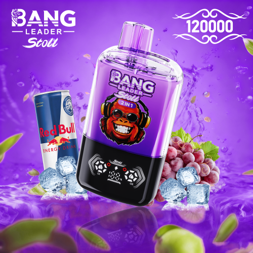 Bang Leader 120000 Puffs 07