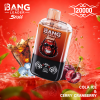 Bang Leader 120000 Puffs 09