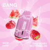 Bang Leader 18000 Puffs 03
