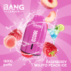Bang Leader 18000 Puffs 05