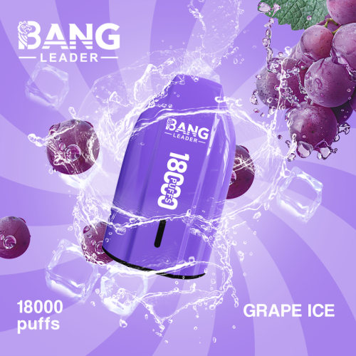 Bang Leader 18000 Puffs 06