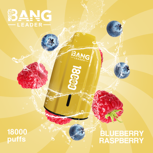 Bang Leader 18000 Puffs 08